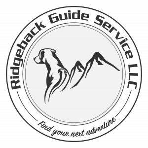 1-rgbs